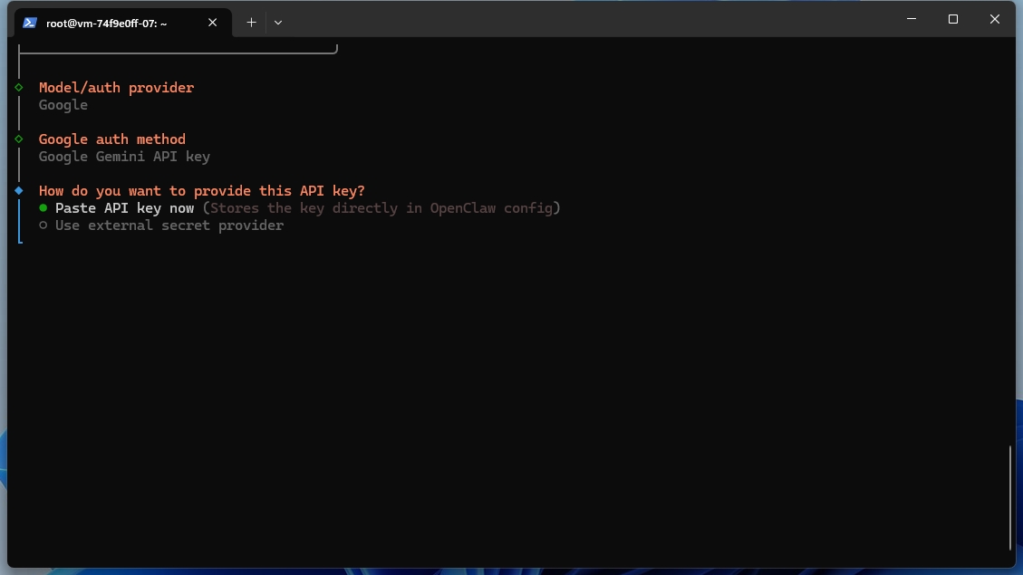 OpenClawで「Paste API Key now」を選択してAPIキーを入力する画面