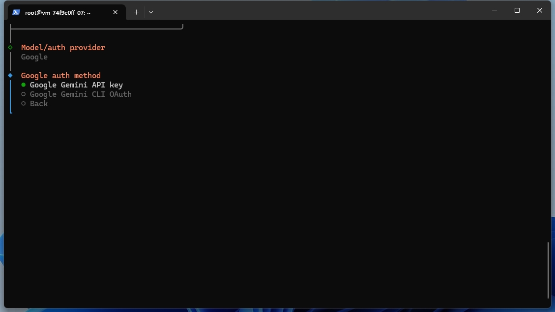 OpenClawで「Google Gemini API Key」を選択している画面