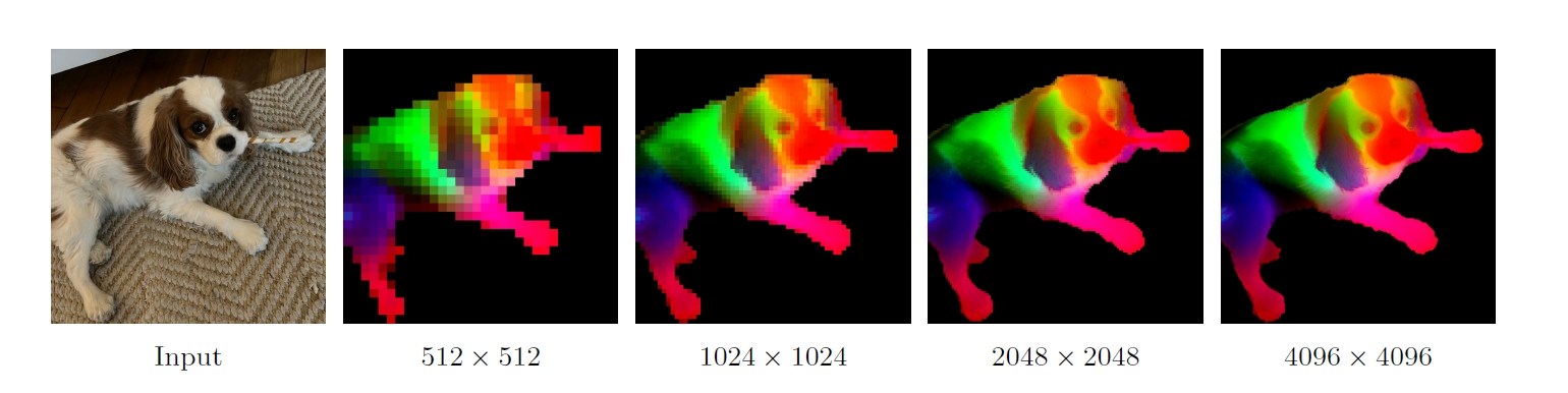DINOv3による高解像度な特徴マップの可視化画像